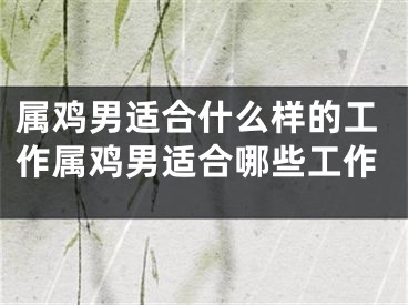 属鸡男适合什么样的工作属鸡男适合哪些工作