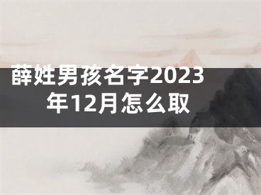 薛姓男孩名字2023年12月怎么取
