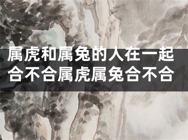 属虎和属兔的人在一起合不合属虎属兔合不合
