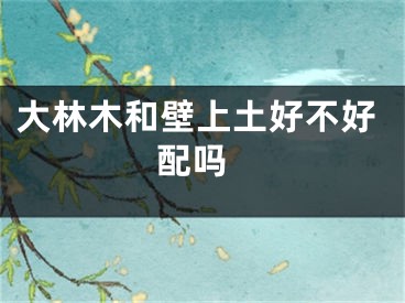 大林木和壁上土好不好 配吗