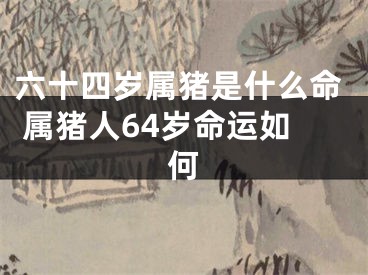六十四岁属猪是什么命 属猪人64岁命运如何