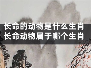 长命的动物是什么生肖长命动物属于哪个生肖