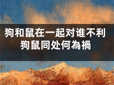 狗和鼠在一起对谁不利狗鼠同处何為禍