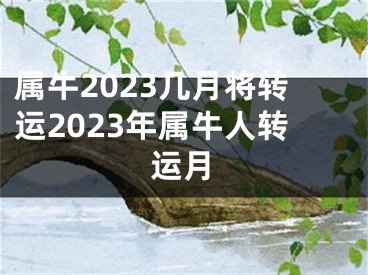 属牛2023几月将转运2023年属牛人转运月