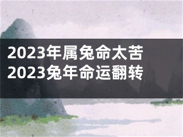 2023年属兔命太苦2023兔年命运翻转
