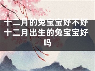 十二月的兔宝宝好不好十二月出生的兔宝宝好吗