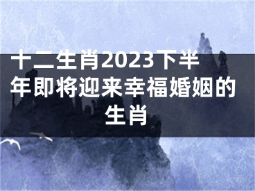 十二生肖2023下半年即将迎来幸福婚姻的生肖