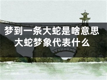 梦到一条大蛇是啥意思大蛇梦象代表什么