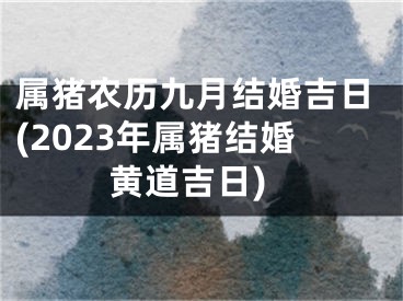 属猪农历九月结婚吉日(2023年属猪结婚黄道吉日)