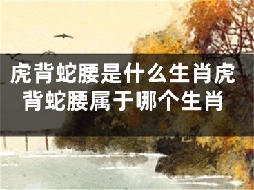 虎背蛇腰是什么生肖虎背蛇腰属于哪个生肖