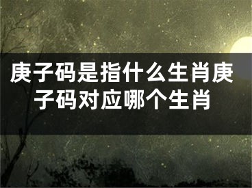庚子码是指什么生肖庚子码对应哪个生肖
