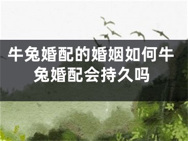 牛兔婚配的婚姻如何牛兔婚配会持久吗