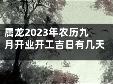 属龙2023年农历九月开业开工吉日有几天