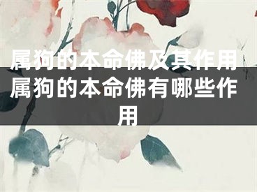 属狗的本命佛及其作用属狗的本命佛有哪些作用