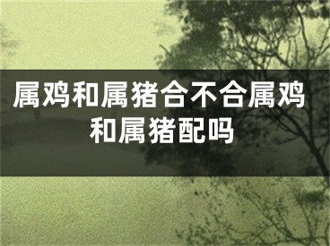 属鸡和属猪合不合属鸡和属猪配吗
