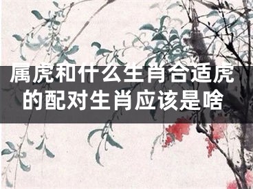 属虎和什么生肖合适虎的配对生肖应该是啥