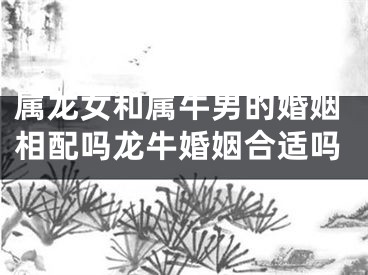 属龙女和属牛男的婚姻相配吗龙牛婚姻合适吗