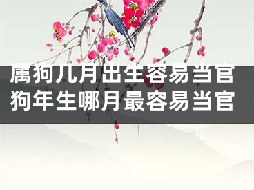 属狗几月出生容易当官狗年生哪月最容易当官