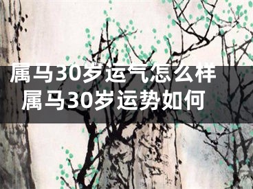 属马30岁运气怎么样属马30岁运势如何