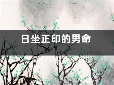 日坐正印的男命