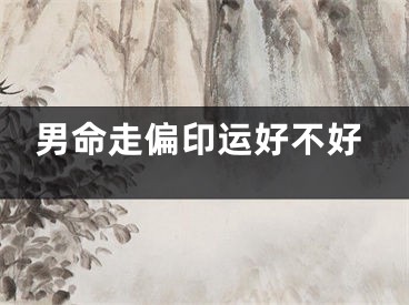男命走偏印运好不好