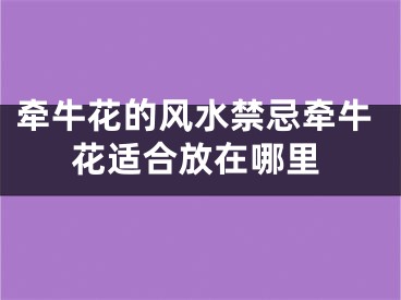 牵牛花的风水禁忌牵牛花适合放在哪里
