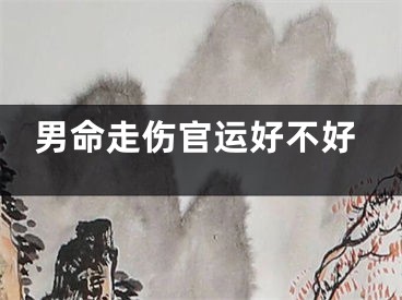 男命走伤官运好不好