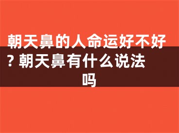 朝天鼻的人命运好不好? 朝天鼻有什么说法吗