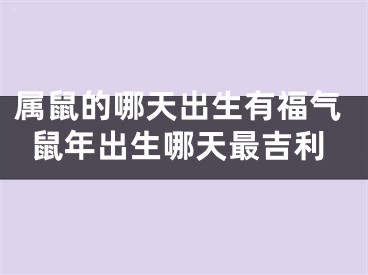 属鼠的哪天出生有福气鼠年出生哪天最吉利