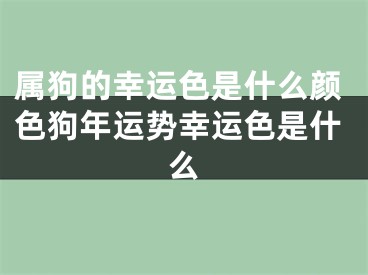 属狗的幸运色是什么颜色狗年运势幸运色是什么