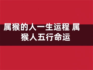 属猴的人一生运程 属猴人五行命运