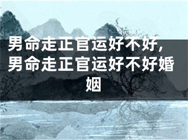 男命走正官运好不好,男命走正官运好不好婚姻