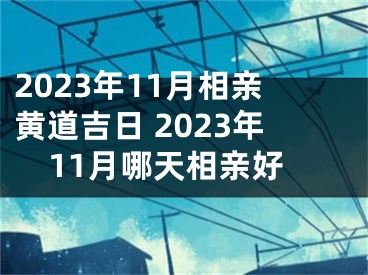 2023年11月相亲黄道吉日 2023年11月哪天相亲好