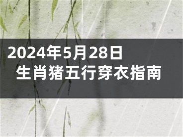 2024年5月28日生肖猪五行穿衣指南