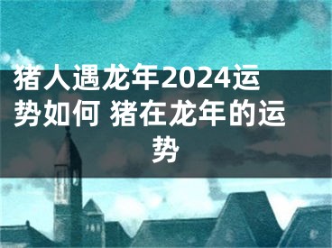 猪人遇龙年2024运势如何 猪在龙年的运势