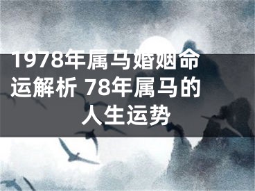1978年属马婚姻命运解析 78年属马的人生运势