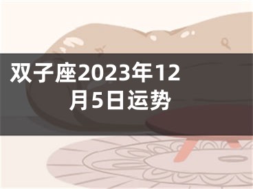 双子座2023年12月5日运势