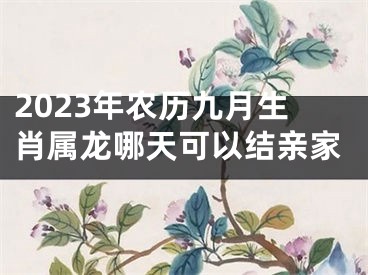 2023年农历九月生肖属龙哪天可以结亲家