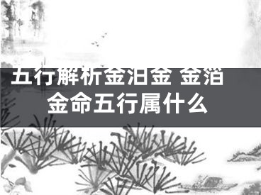 五行解析金泊金 金箔金命五行属什么