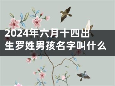 2024年六月十四出生罗姓男孩名字叫什么