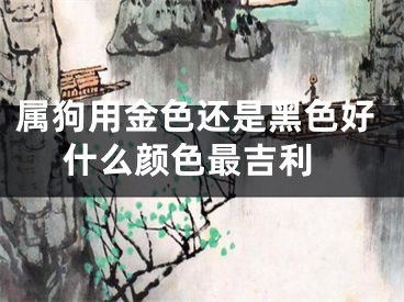 属狗用金色还是黑色好 什么颜色最吉利