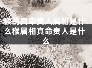 猴的真命贵人属相是什么猴属相真命贵人是什么