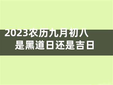 2023农历九月初八是黑道日还是吉日