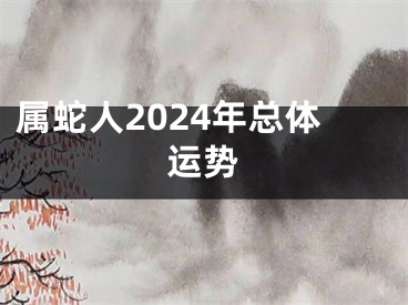属蛇人2024年总体运势