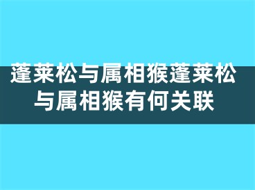 蓬莱松与属相猴蓬莱松与属相猴有何关联