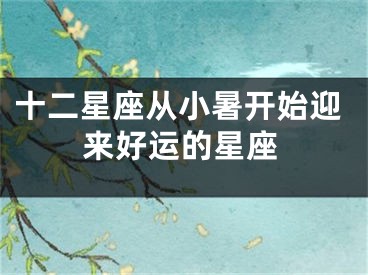 十二星座从小暑开始迎来好运的星座