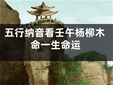五行纳音看壬午杨柳木命一生命运
