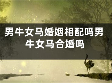 男牛女马婚姻相配吗男牛女马合婚吗