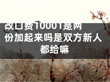 改口费10001是两份加起来吗是双方新人都给嘛