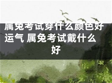 属兔考试穿什么颜色好运气 属兔考试戴什么好